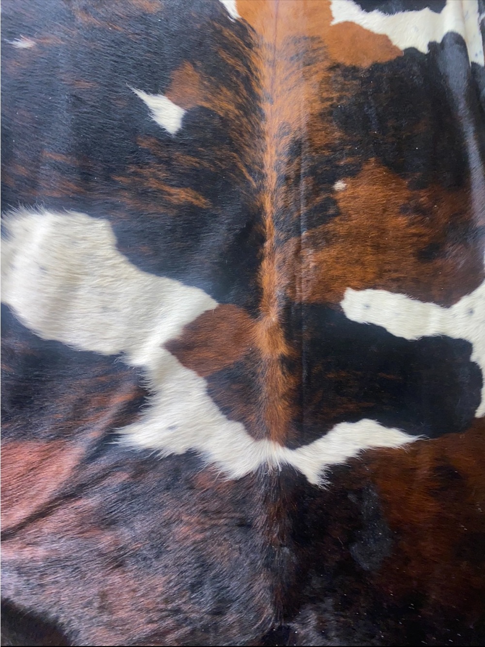 Cowhide rugs